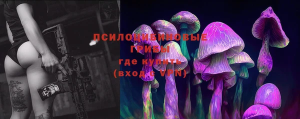 spice Бронницы