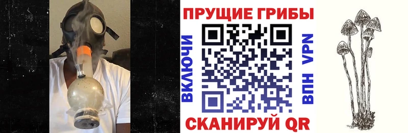 Псилоцибиновые грибы Magic Shrooms  купить наркотик  Дагестанские Огни 